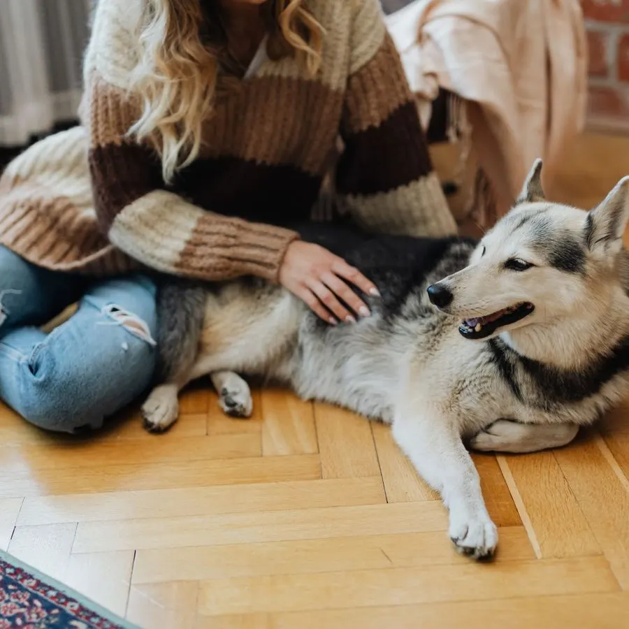 Woman relaxing with her dog on a light herringbone wood floor at home